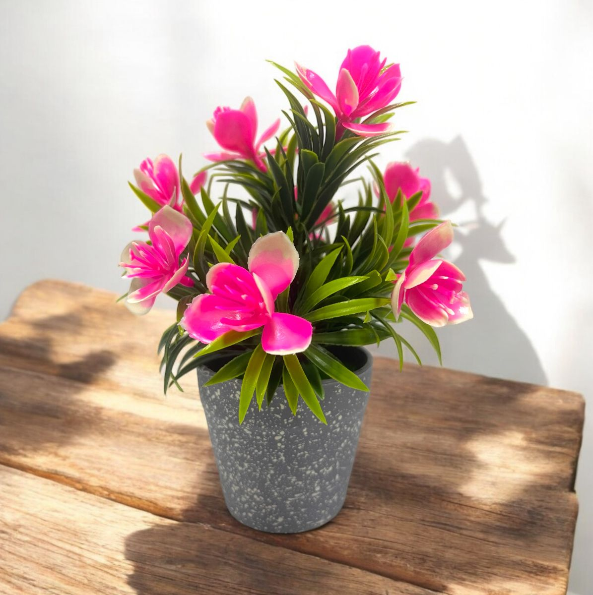 MALLOW PLANTA DECORATIVA 20X10 CM PB04-6
