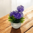 MIMOSA PLANTA DECORATIVA 13X5CM PB04-16