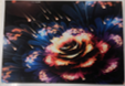 ALFOMBRA DESIGN ROSE GOLD 38_58CM