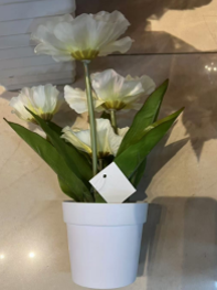 PLANTA PLASTICA DECORATIVA 48076