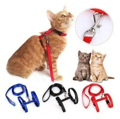(S)CORREA CON ARNES PARA GATO 1.20 MTS PB69-5 