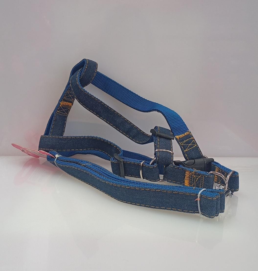 (S)CORREA 1.60 MTS CON ARNES 25 DM PARA MASCOTAS JEAN PB68-158